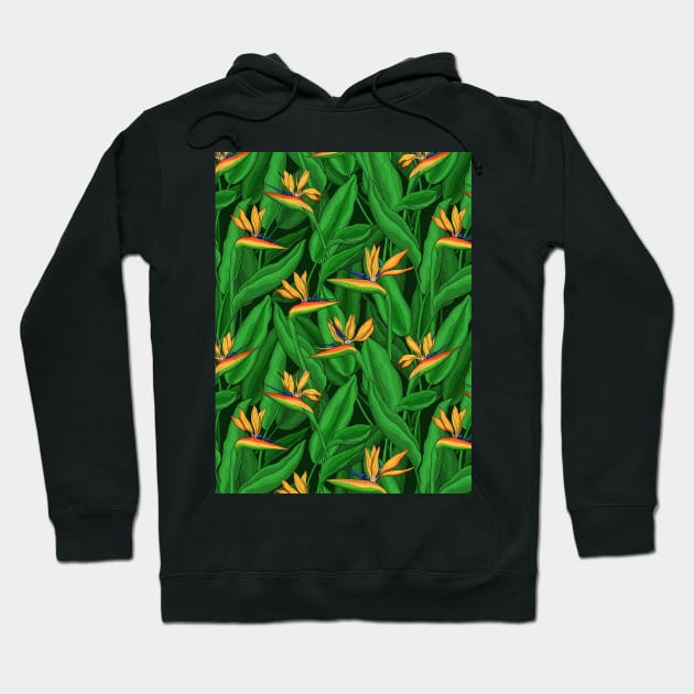 Night bird of paradise garden Hoodie by katerinamk